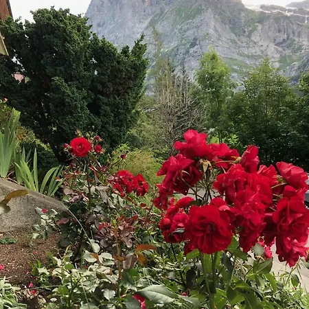 Zur Hoehe Lejlighed Grindelwald