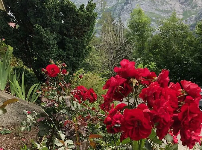 Zur Hohe Apartment Grindelwald